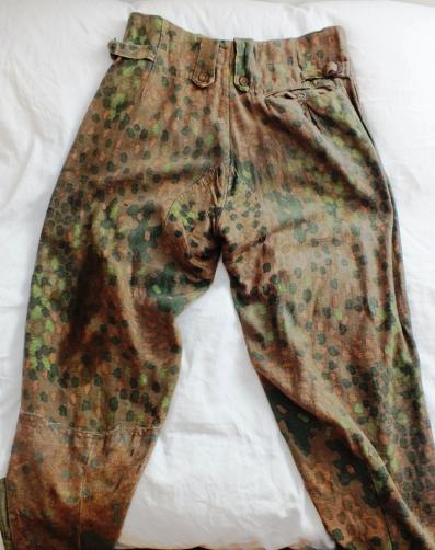 SS DOT/PEA PATTERN PANTS